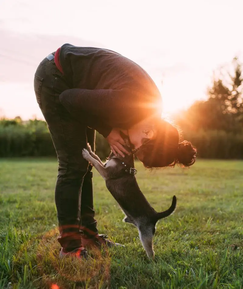 A man bending over in the grass with his dog.