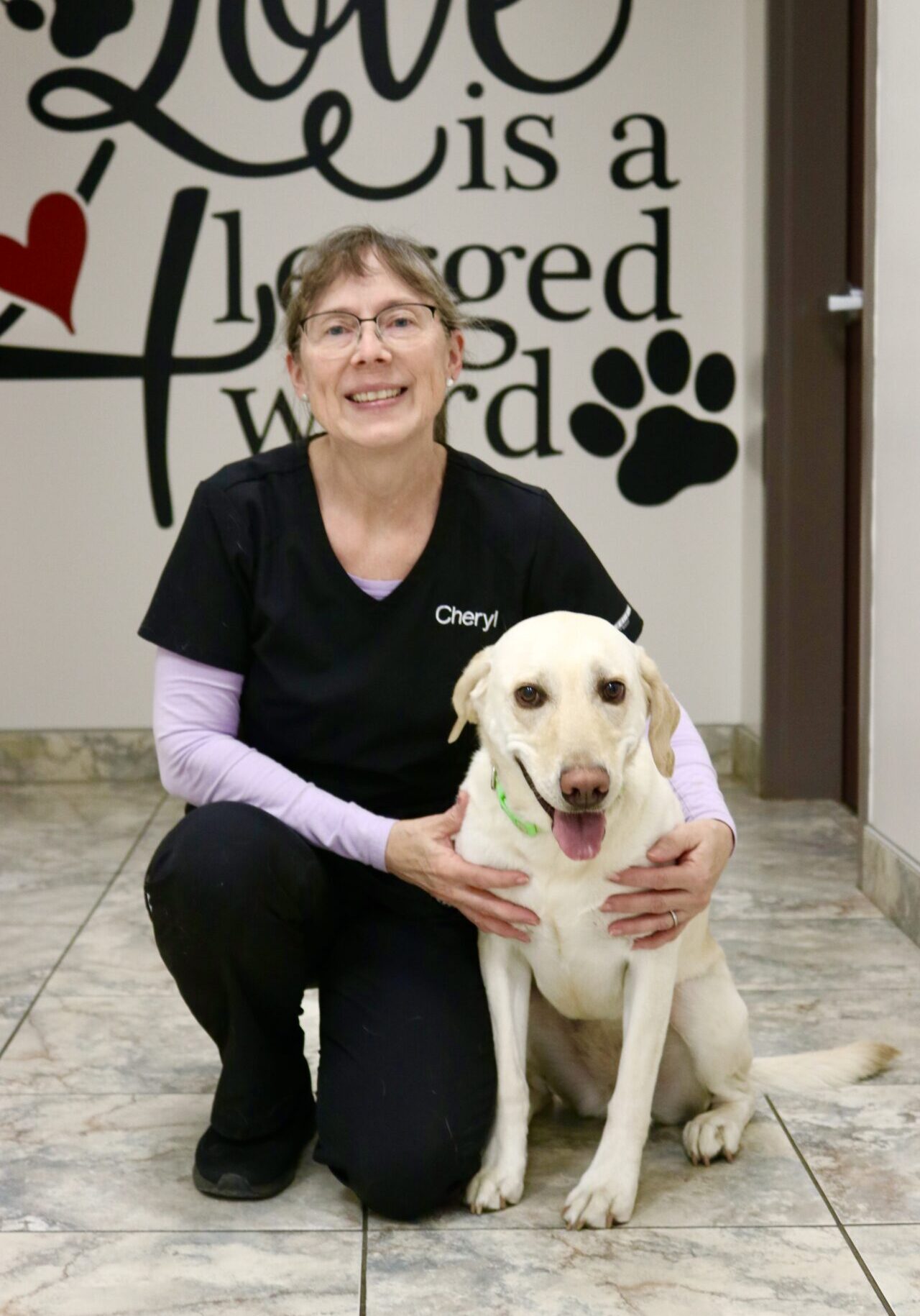 A woman kneeling down next to a dog.